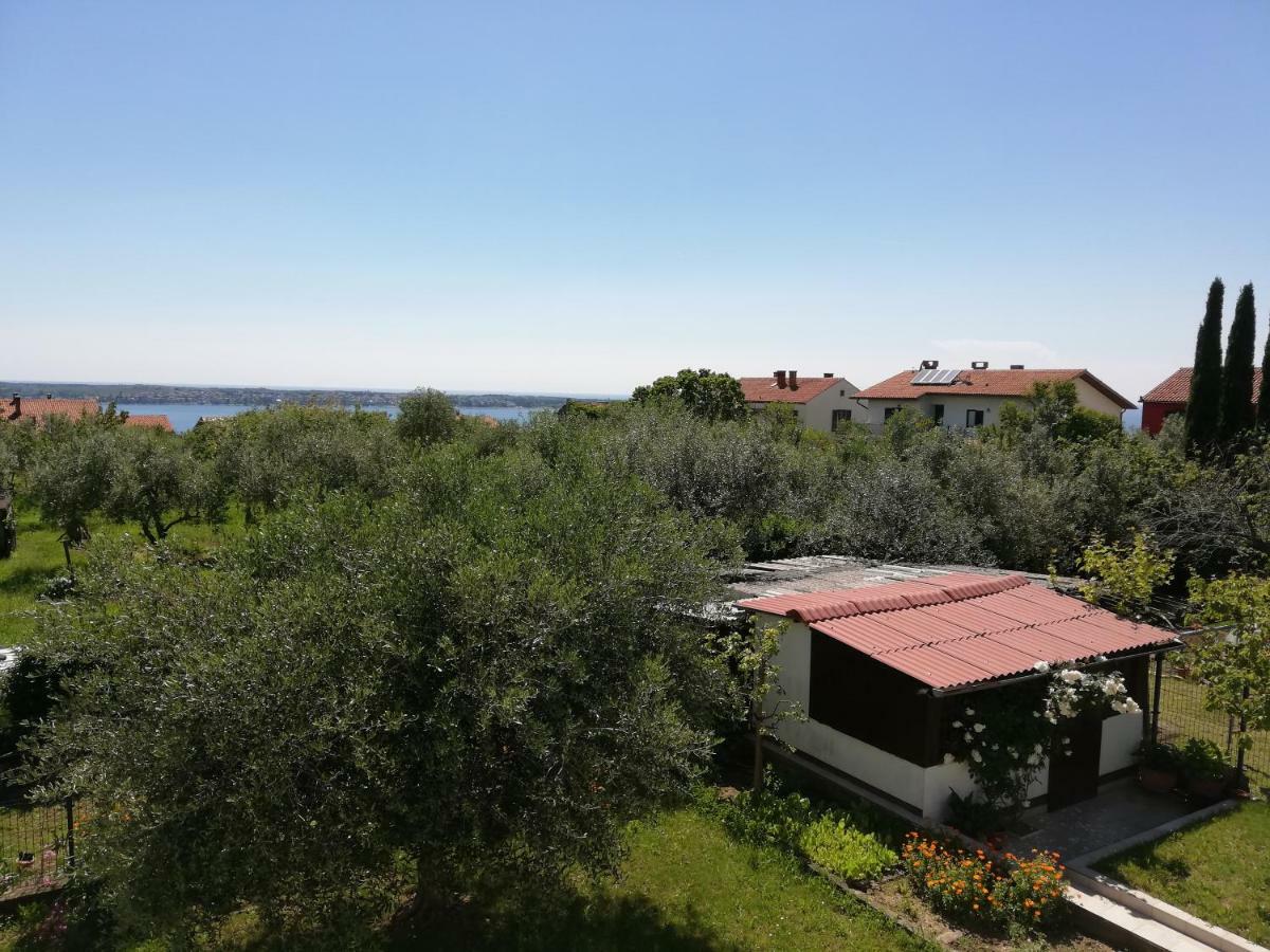 Apartma Iva Piran Dış mekan fotoğraf