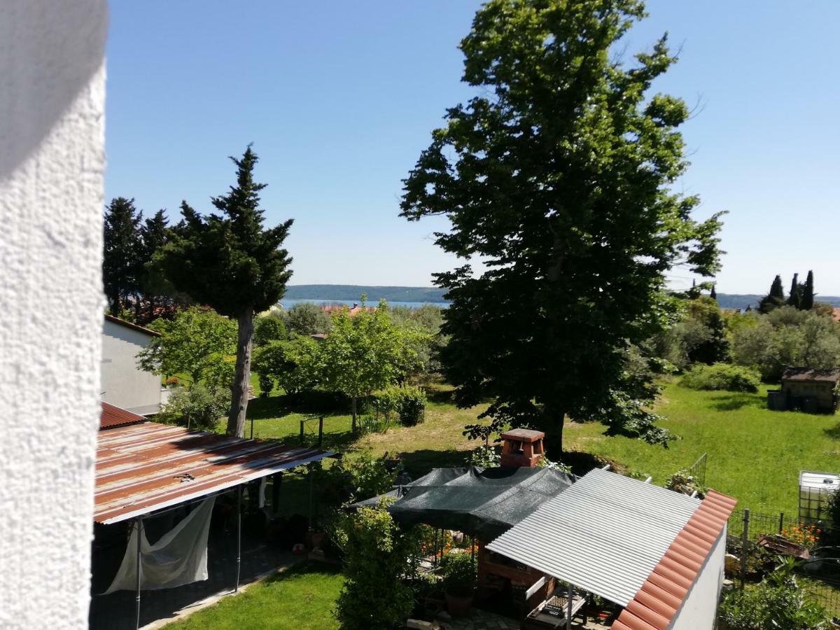 Apartma Iva Piran Dış mekan fotoğraf