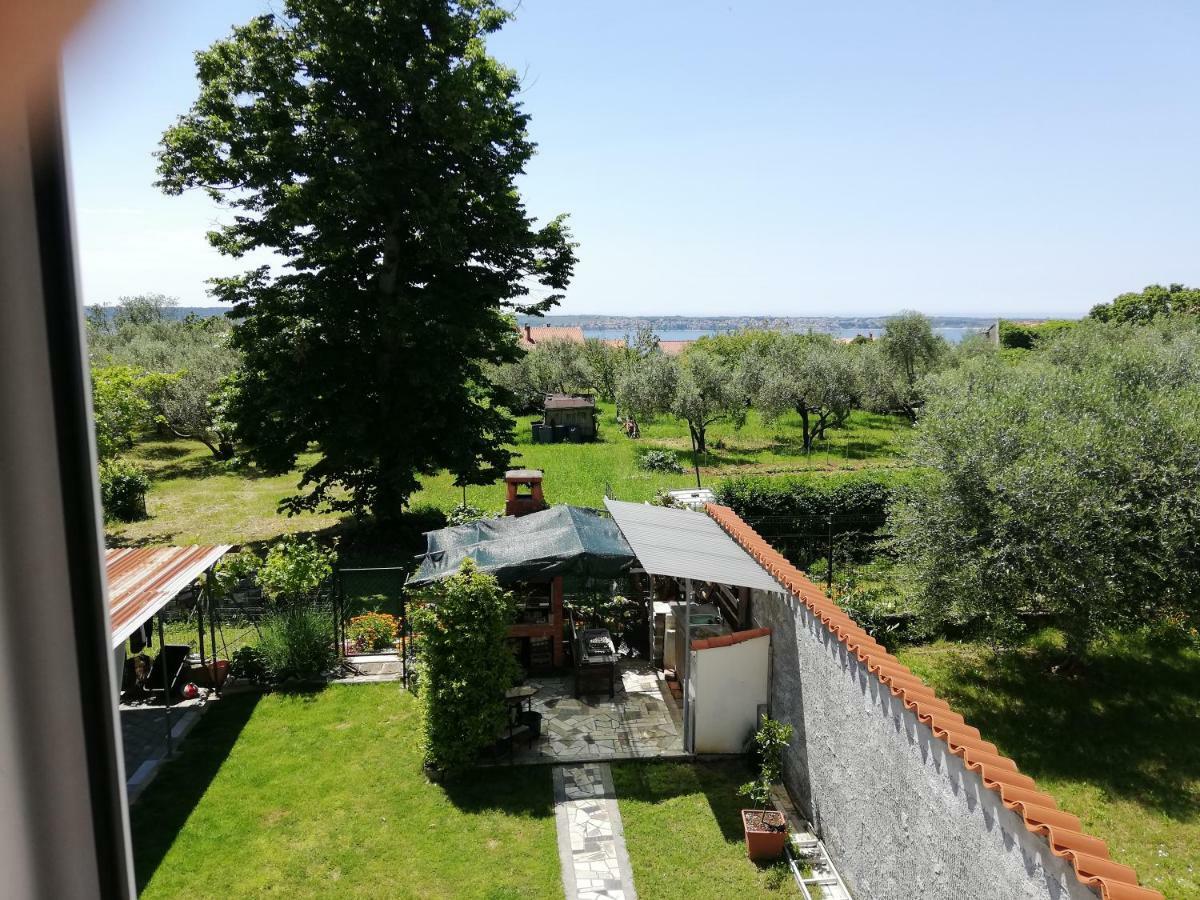 Apartma Iva Piran Dış mekan fotoğraf
